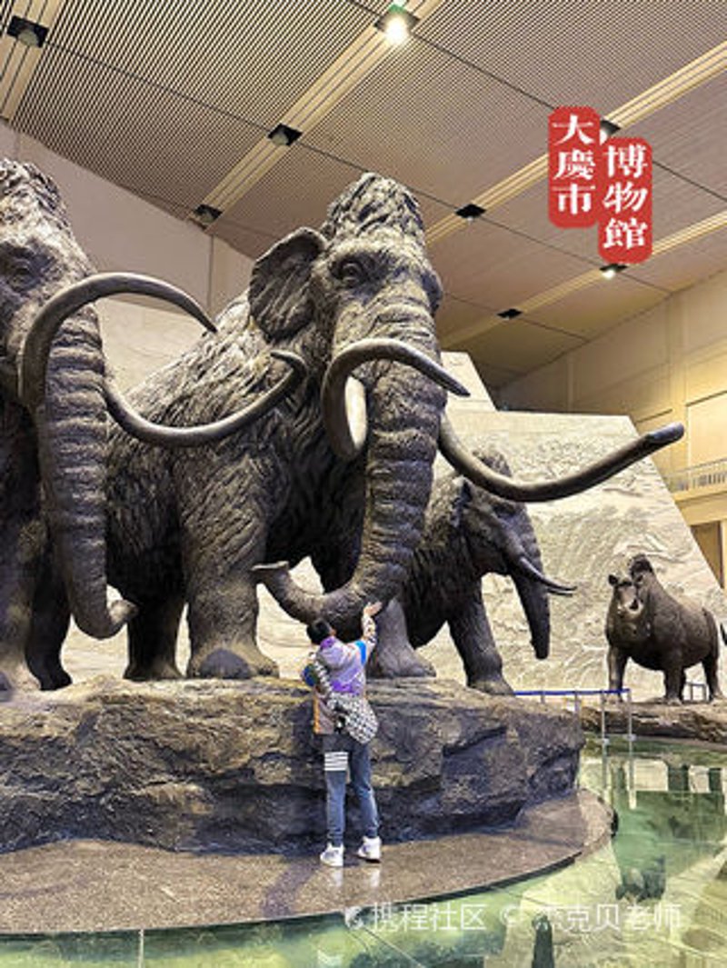 龙凤湿地公园：城市绿肺与自然乐园